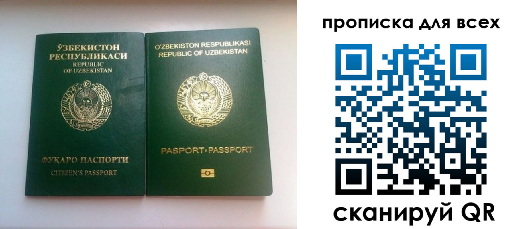 прописка для школы в Сосногорске